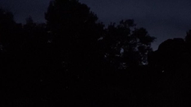 AR15 Muzzle Flash - Night Fire