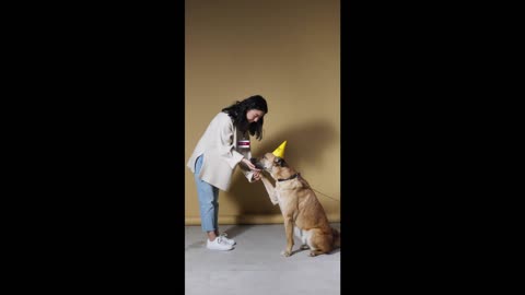 Woman Training a dog