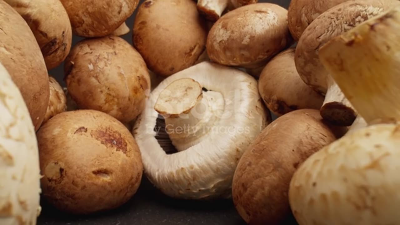 Champignon mushrooms