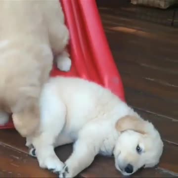 You don't care what you do and not eat