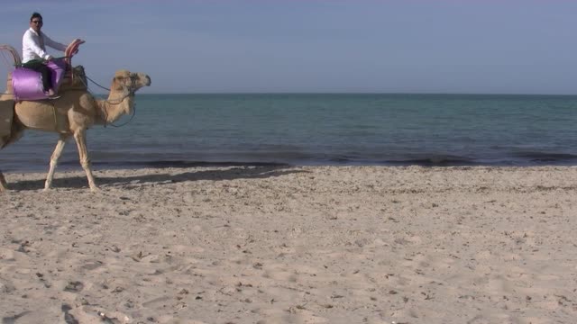 Riding Camels On Morning Beach