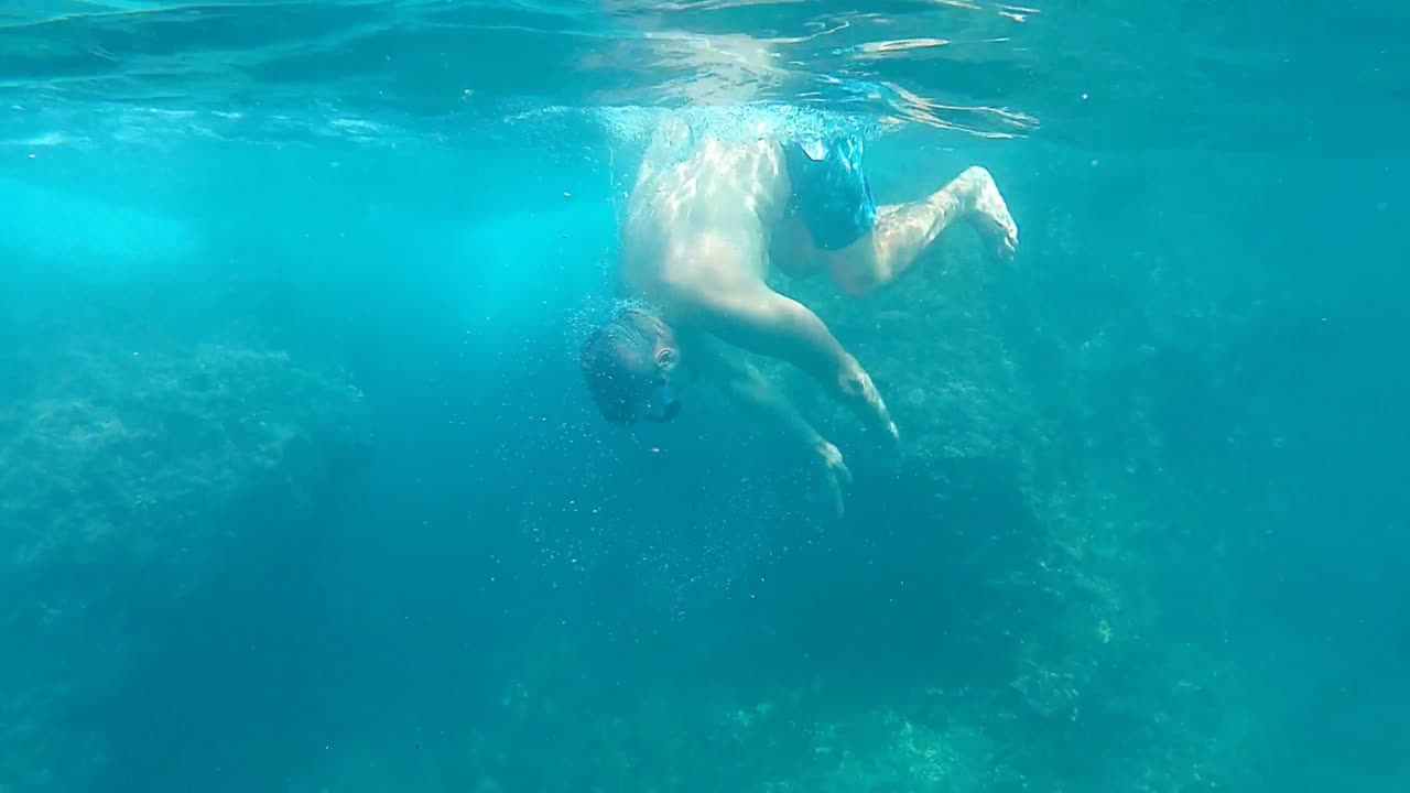 Snorkeling WAVE