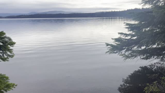 Campsite #31, Hood View Campground – Timothy Lake – Mount Hood – Oregon – 4K