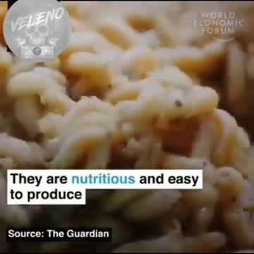 La Svizzera è stato il primo paese europeo a vendere insetti da mangiare per le persone.