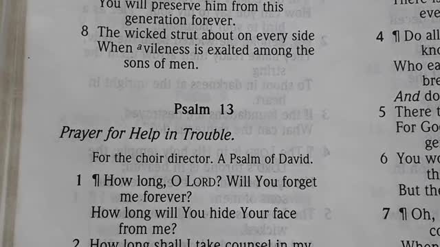 My heart is heavy. My thoughts go to Psalm 13