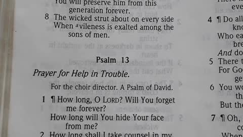 My heart is heavy. My thoughts go to Psalm 13