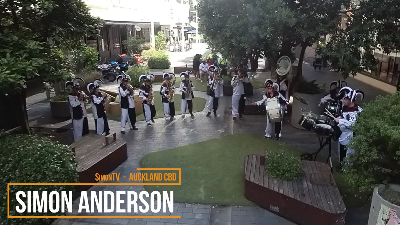 Christmas Harlequins in Auckland CBD