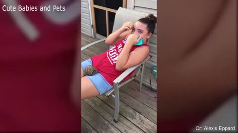 Funny different animals chasing and scaring people