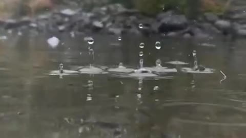 ###Rain Audio Nature Beauty _ WhatsApp status video _ Viral Short videos _ Trending Reels###