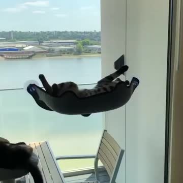 🤣🤣🤣 Here in my summer house please do not disturb 🤣🤣🤣