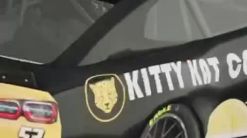 Beautiful #KittyKatCoin paint scheme for #iRacing 😎