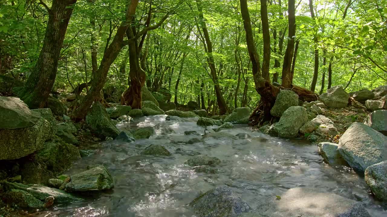 Relaxing Nature Sounds - Short Video Clips of Nature