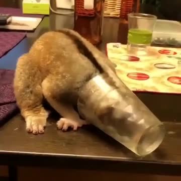 When you are so thirsty