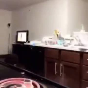 Funny Stupids. 😂😂😏👍