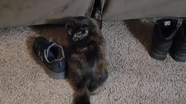 What is she doing??