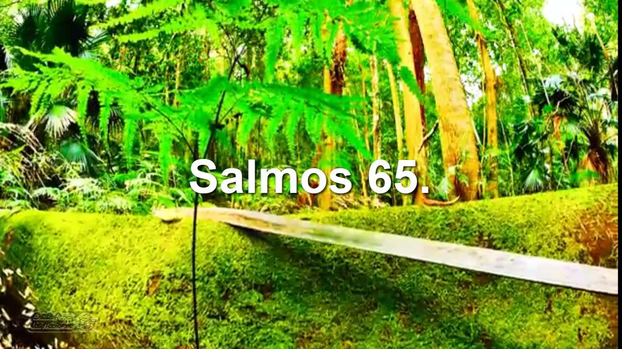 Salmos 63,64, y 65----Reuna valera 1960