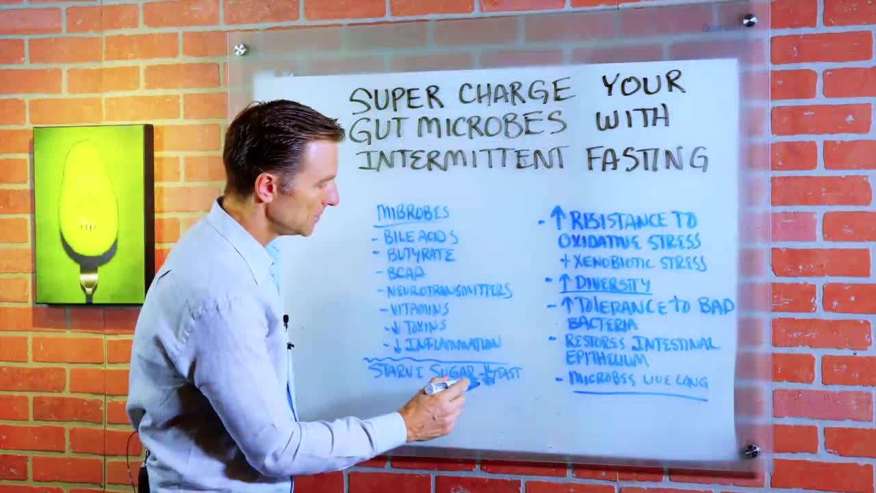 DrBerg-Supercharge Your Gut Bacteria With Intermittent Fasting