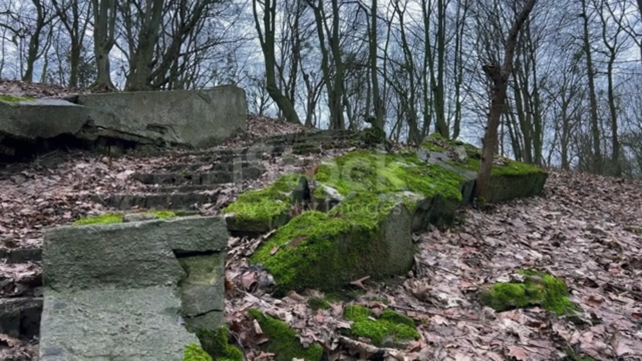 Abandoned Park