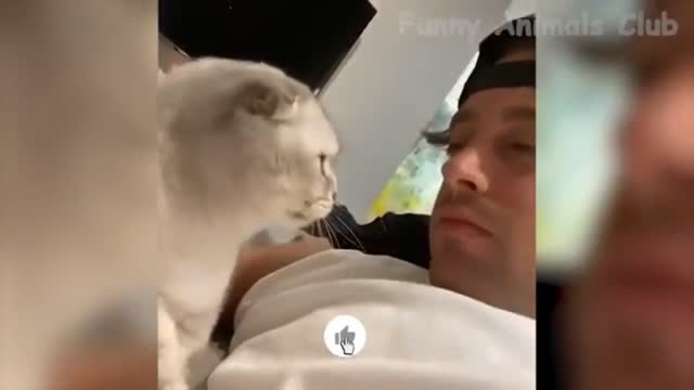 Cute and funny animals