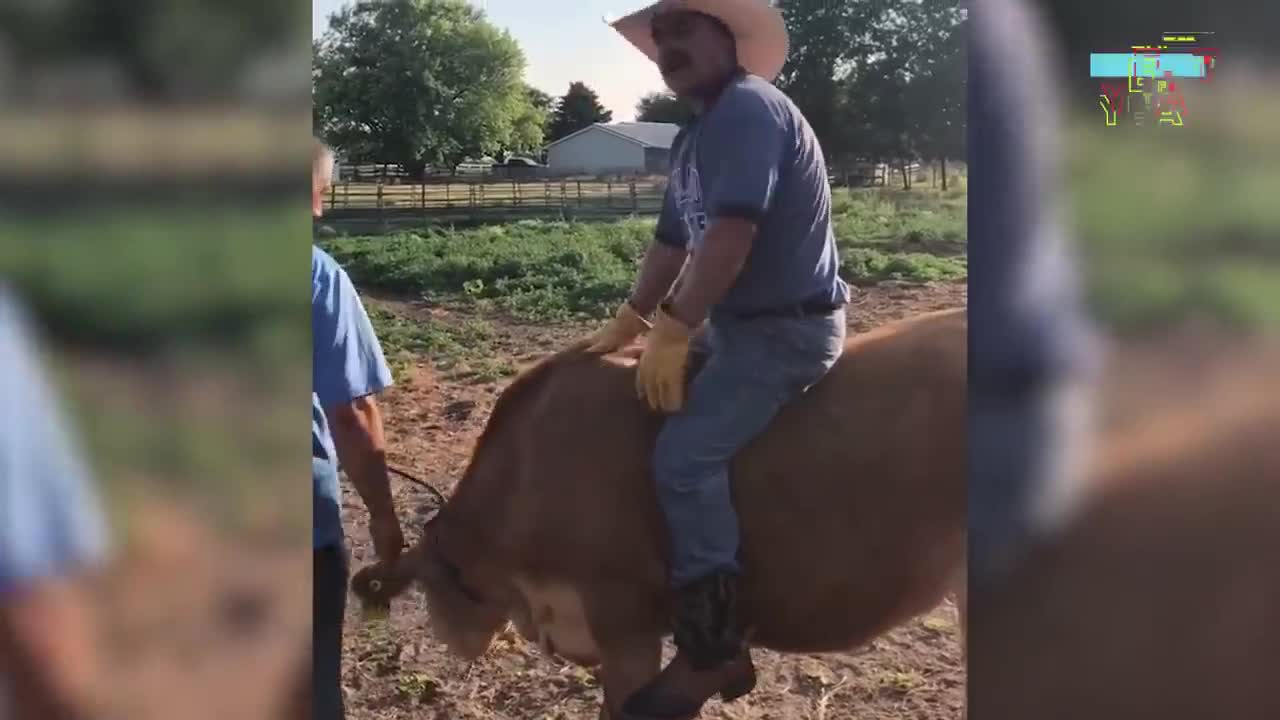 Best Fails Of The Year 2021 | FailArmy