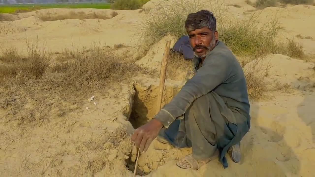 found snake eggs during hunting on the complaint of farmers