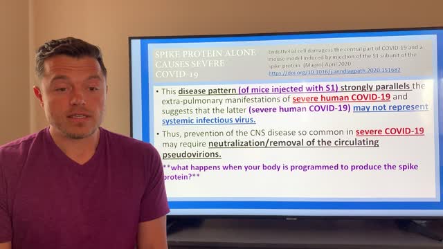 Spike Protein Video 2, Endothelial Dysfunction, Pathological Protein