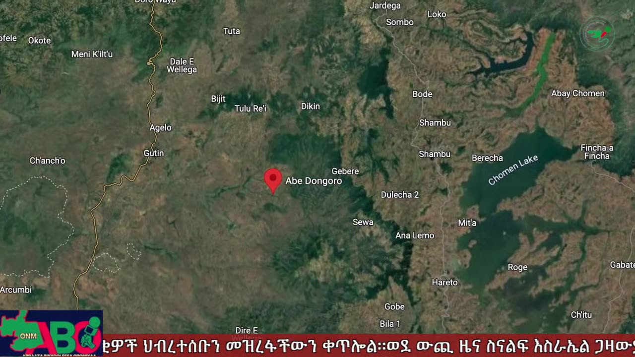 ህዳር 15-2024 ONM-ABO እለታዊ የኦሮሞ ነፃነት ሰራዊትና የኦሮሚያ ውሎ!