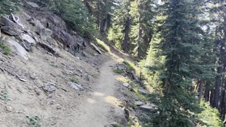 Traversing the BEAUTIFUL Alpine Forest – Three Fingered Jack Loop – Central Oregon – 4K