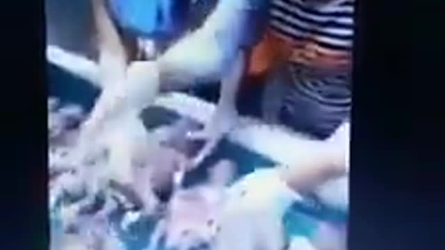 Como si fueran pollos