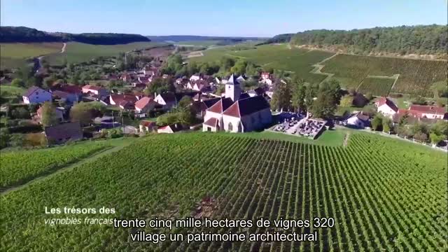 Les trésors des vignobles français28