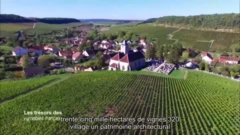 Les trésors des vignobles français28