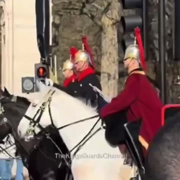 👀 Rare Sighting! Carrying A Trumpet - Destruction Of The Old Guard