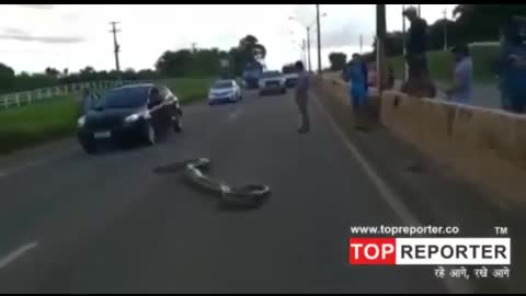 Traffic halts as giant anaconda crosses road in Brazil video goes viral I Topreporter news