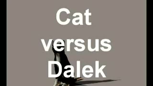 Cat versuus dalek good video