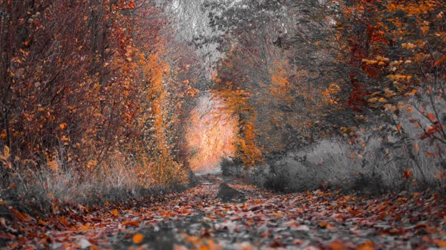 Haiku Hot Line: Acceptance