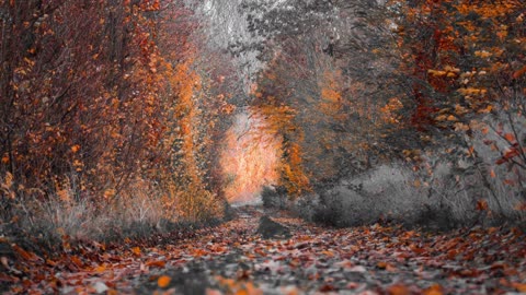 Haiku Hot Line: Acceptance