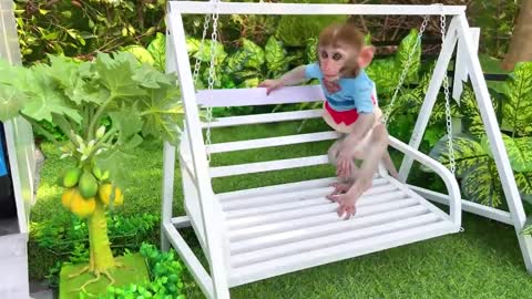 Monkey Baby Bon on winter vacations