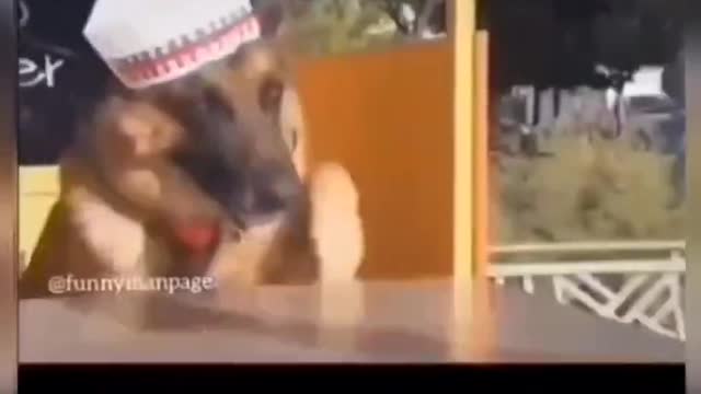 😂😂😂😂😂👌👌👌👍👍👍💖💖💖