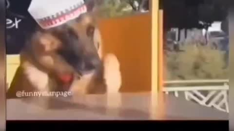 😂😂😂😂😂👌👌👌👍👍👍💖💖💖