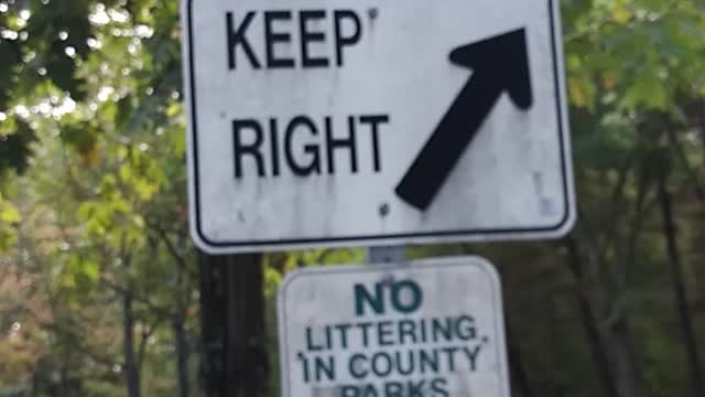 Signs, Signs, Everywhere a Sign
