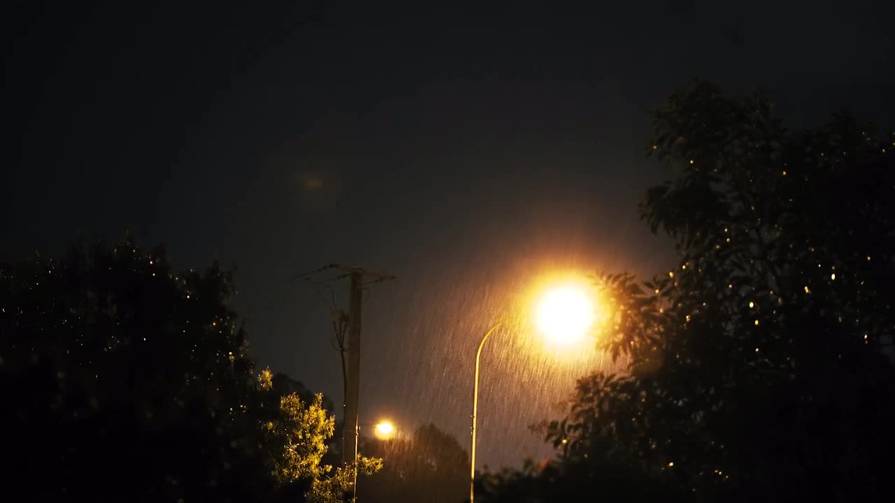 #Beautiful Night #Thundering#raining and birds singing