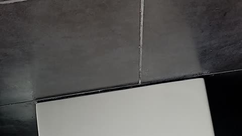 ΚΑΤΟΥΡΑΜΕ ΟΛΟΥΣ ΤΟΥΣ ΑΠΑΤΑΙΩΝΕΣ ΟΠΟΥ ΚΑΙ ΑΝ ΑΝΗΚΟΥΝ !!!