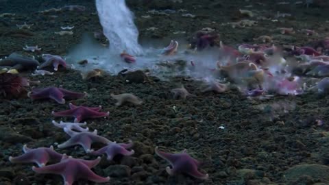 Most Dangerous Natural Phenomena In The World