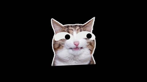 Must Watch Funny crazy Cats and Dogs crazy things that make you laugh for sure