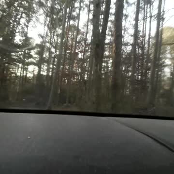 Save The Last Bullet For Myself