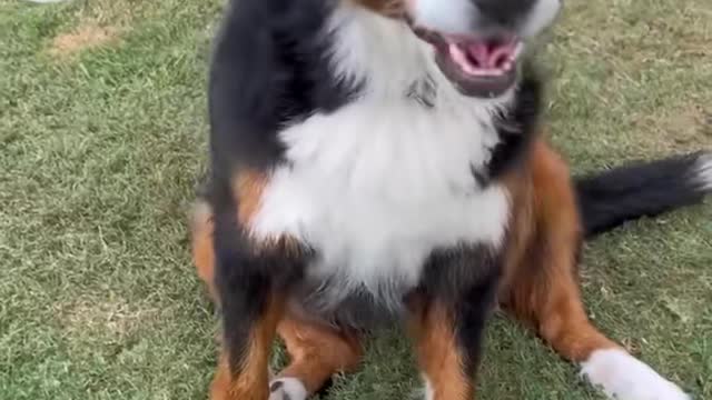 He needs a family