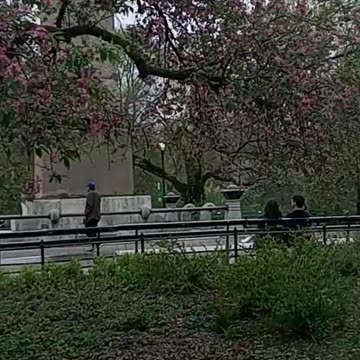 More Cleopatra's Needle (Hidden NYC)