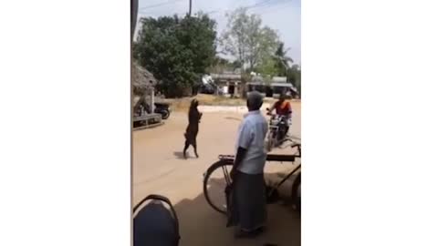 A goat walk with 2 legs on the street