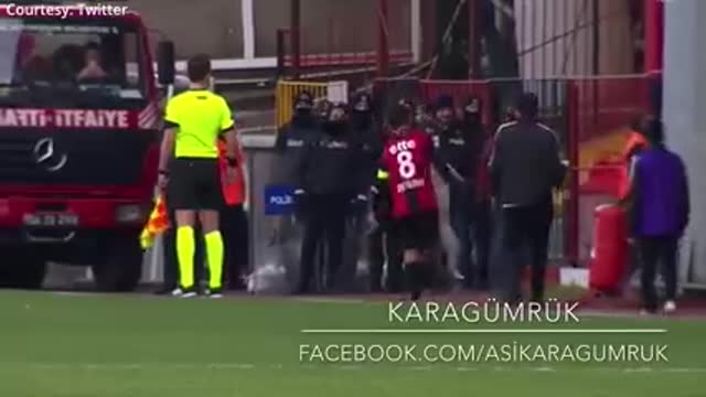 A dog brought a football match to a halt