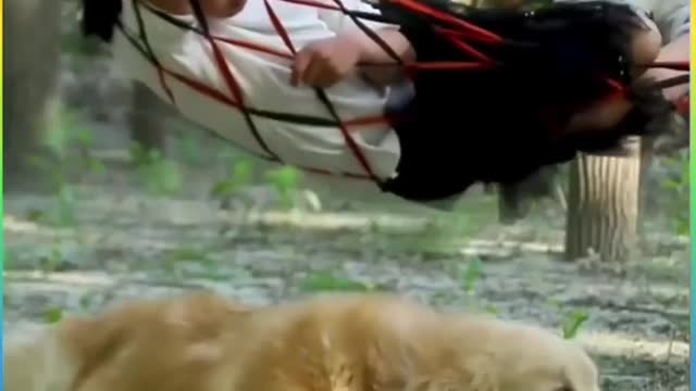Love dog
